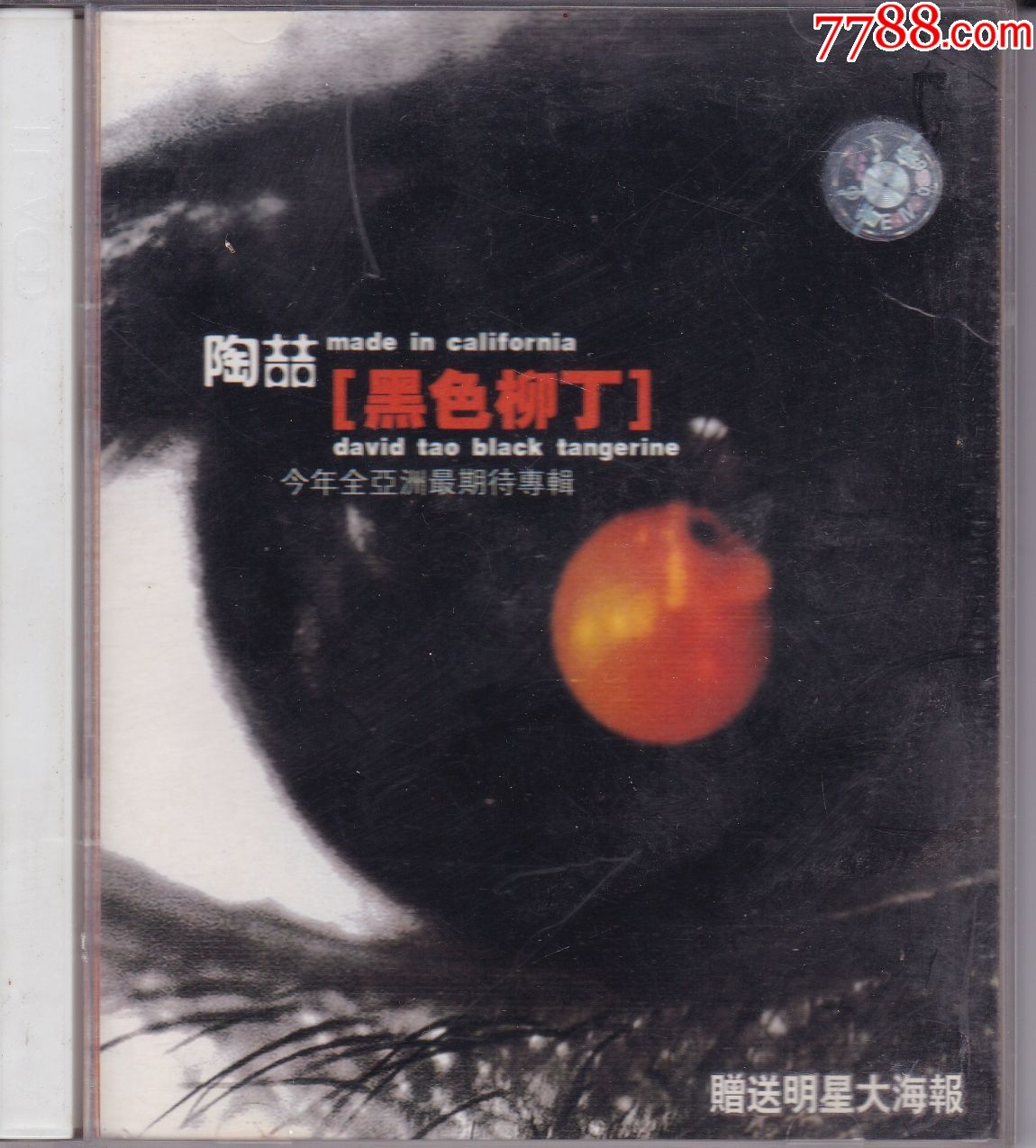 陶喆(黑色柳丁)