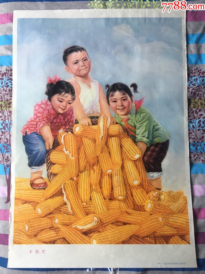 丰收忙