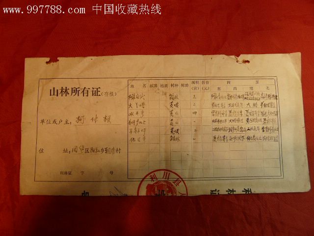 山林所有证(存根)