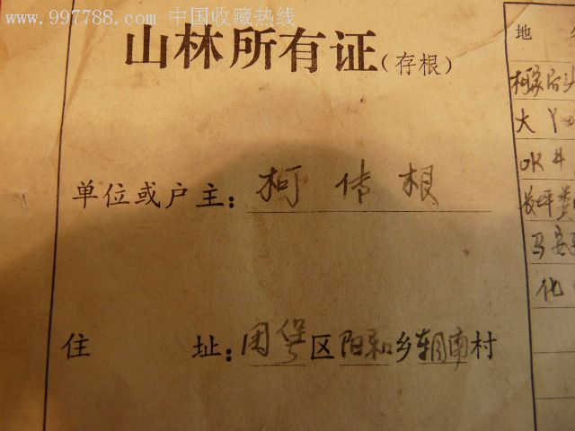 山林所有证(存根)