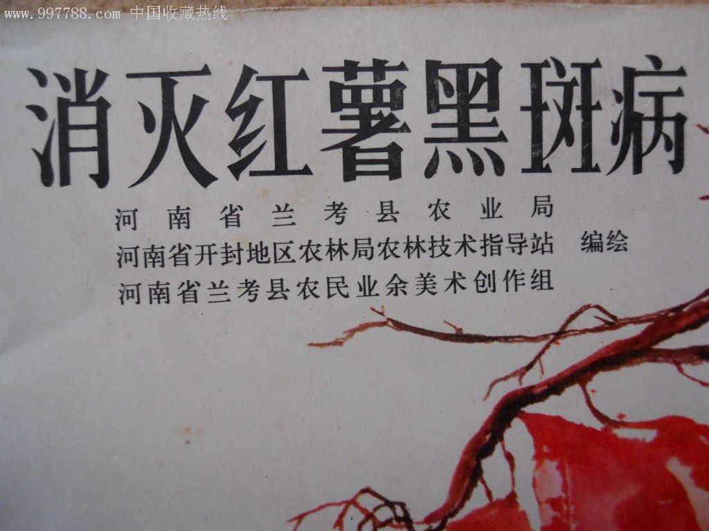 消灭红薯黑斑病(少见,连环画/小人书,七十年代(20世纪,绘画版连环画