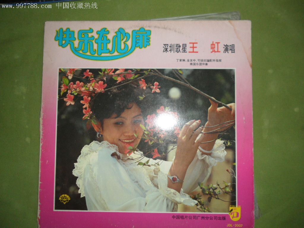 深圳歌星王虹演唱