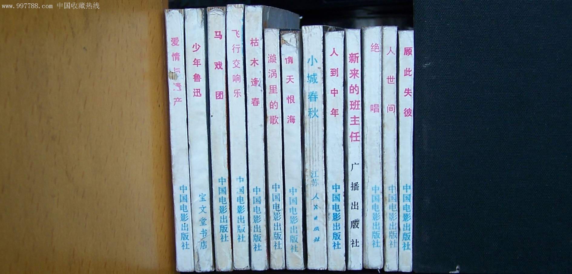 巴基斯坦电影《人世间》