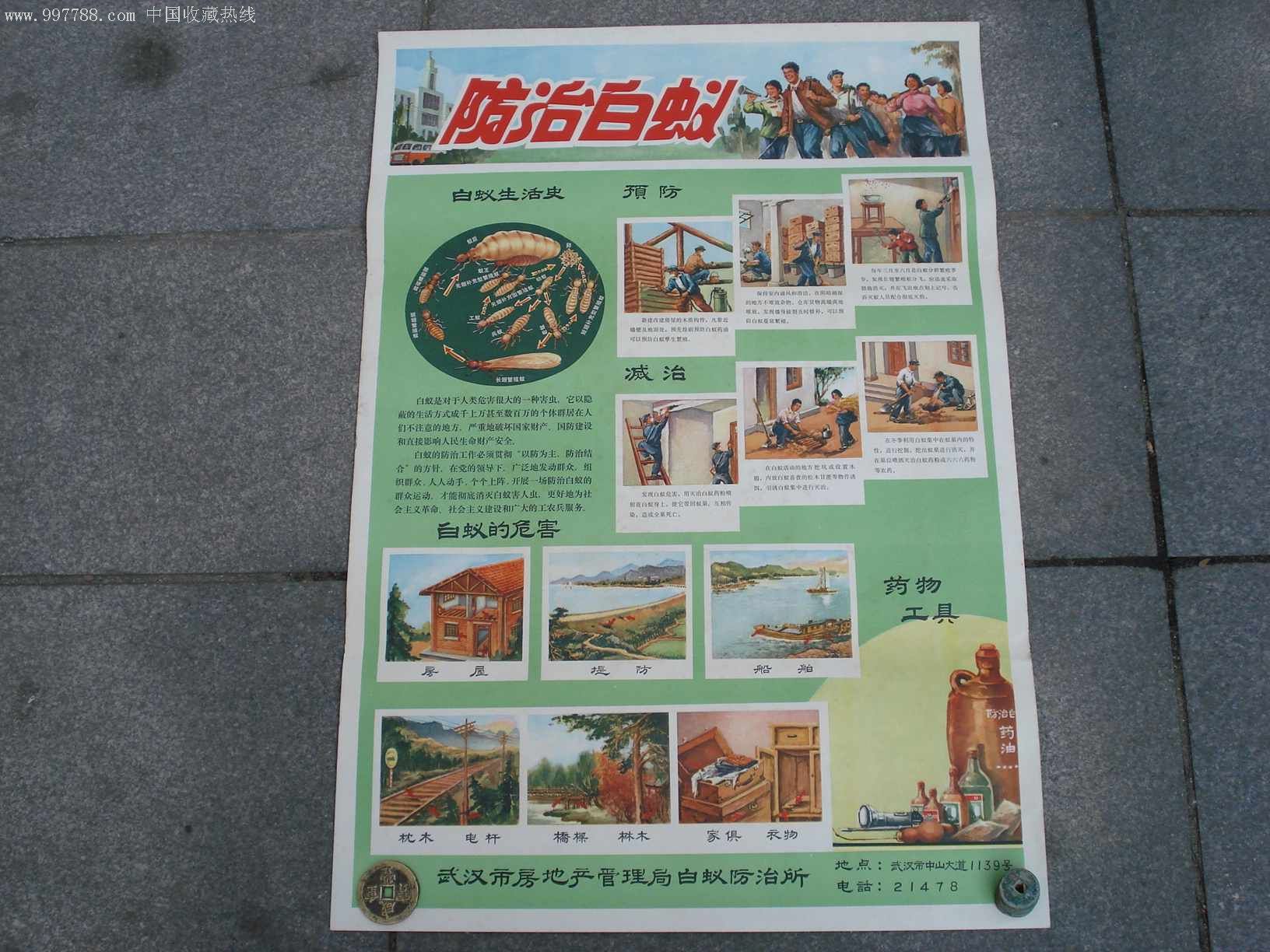 防治白蚁-au2297727-年画/宣传画-加价-7788收藏__中国收藏热线
