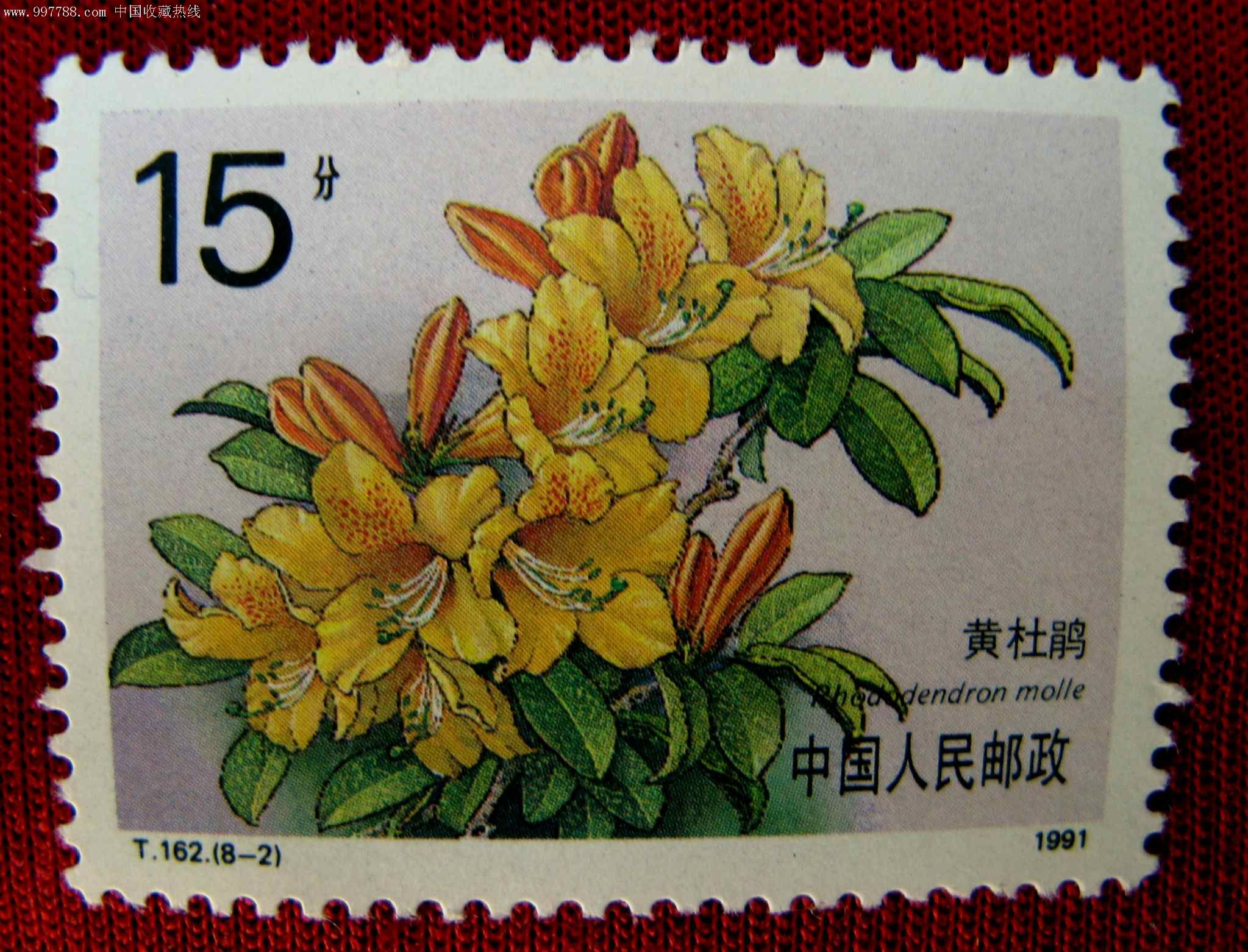 t162杜鹃花(8-1,2,5)新散票3种合售-新中国邮票--au2651898-在线拍卖