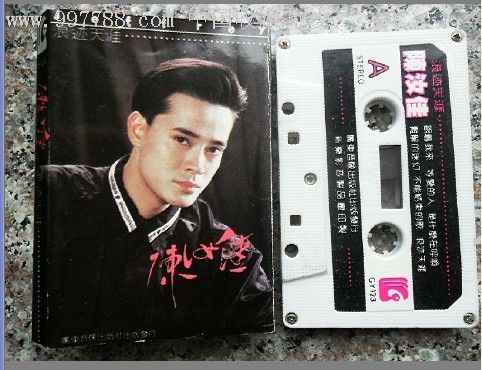 陈汝佳-浪迹天涯