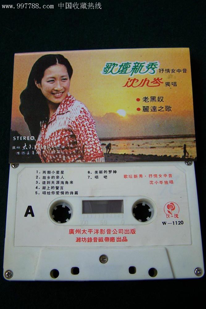 歌坛新秀—沈小岑独唱