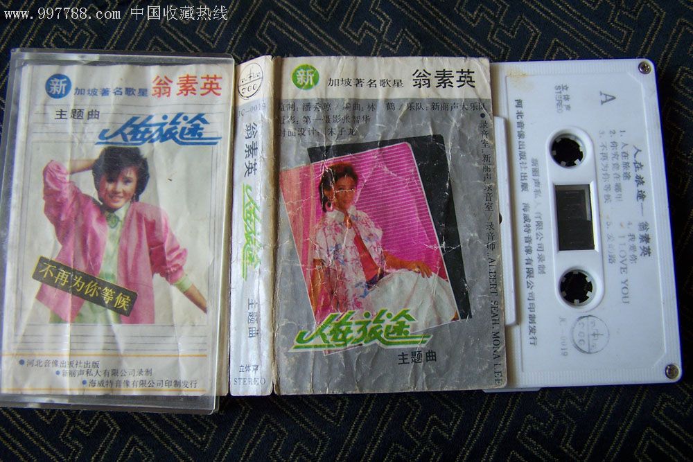 翁素英——《人在旅途》