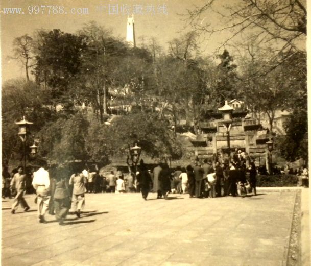 1950年摄广州越秀山公园老照片2张