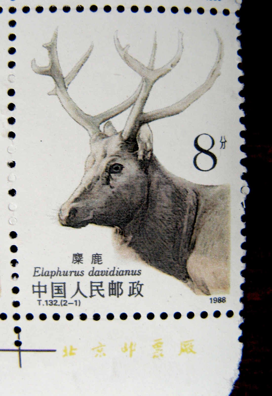 t132麋鹿邮票(2-1)8分低值单枚票版铭方联