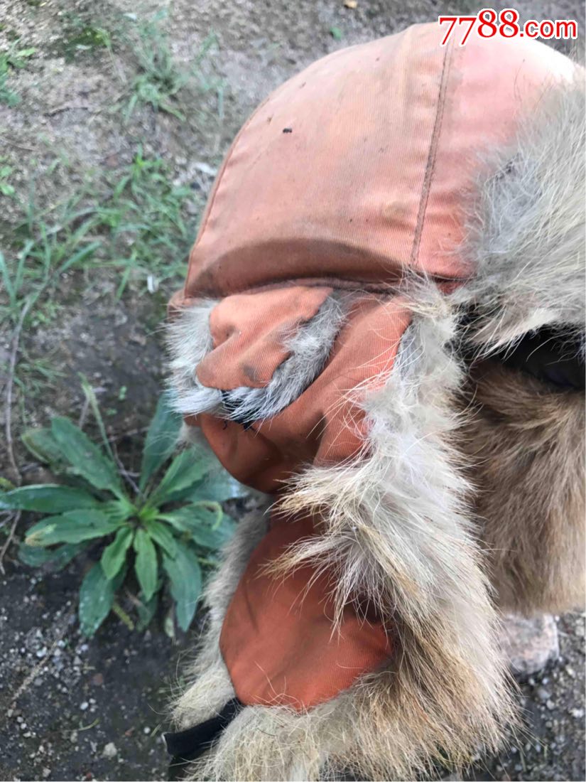 老狗皮帽子安全帽