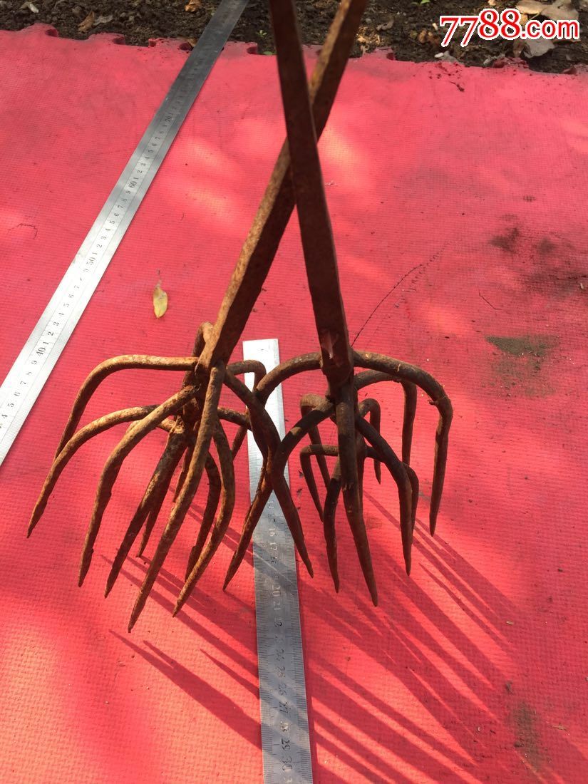 鱼叉2个合拍,老的,13股鱼叉