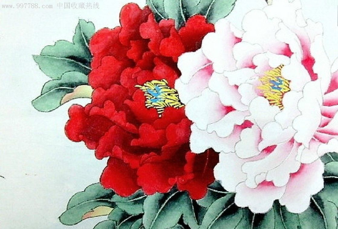 秦霞工笔画三尺斗方牡丹《富贵图》