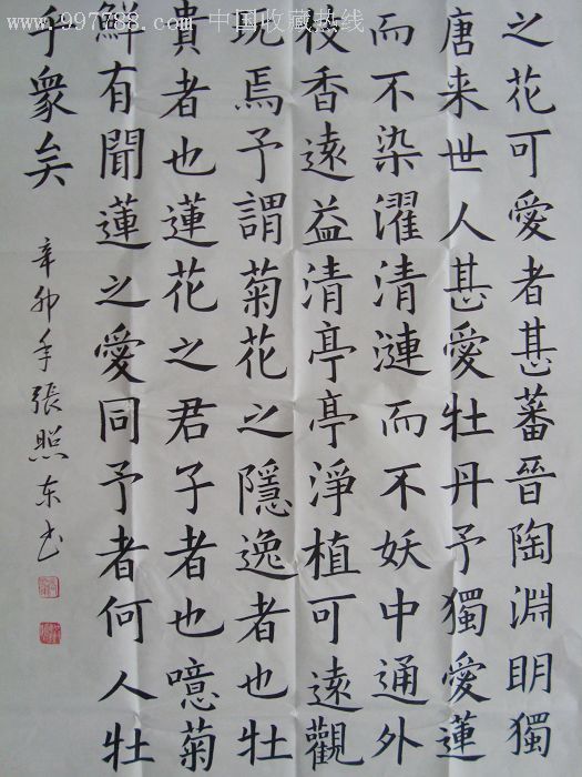 著名書法家張照東楷書《愛蓮說》