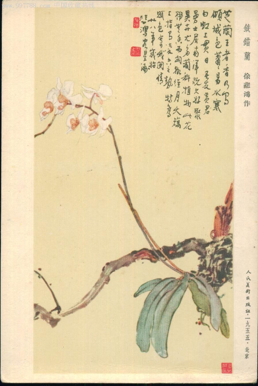 无格式明信片 铁锚兰>>徐悲鸿作1955年_第1张_7788收藏__收藏热线
