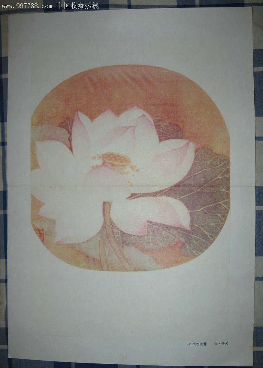 出水芙蓉宋佚名