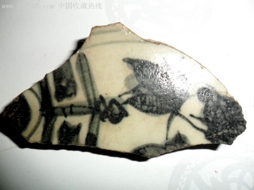 瓷片_價格50元【瑞楓貨廊】_第1張_7788收藏__收藏熱線