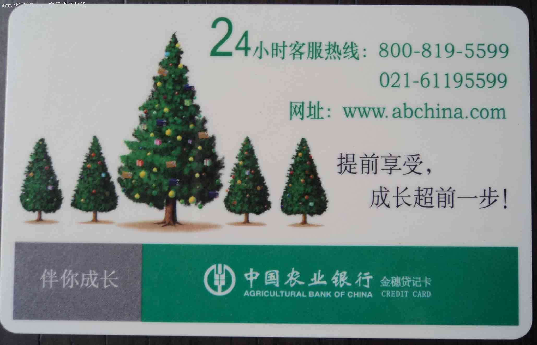 中国农业银行(伴您成长)