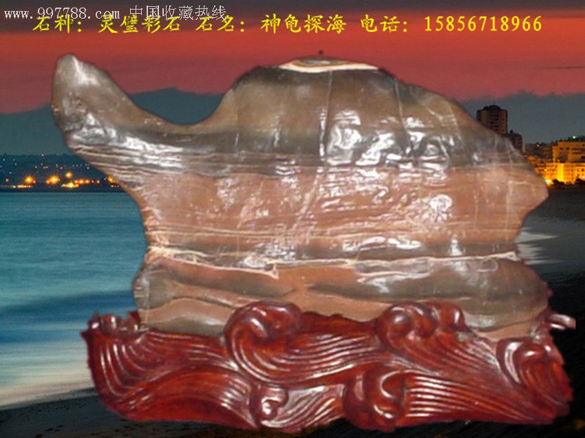 神龟探海_灵璧石_第1张_7788奇石收藏