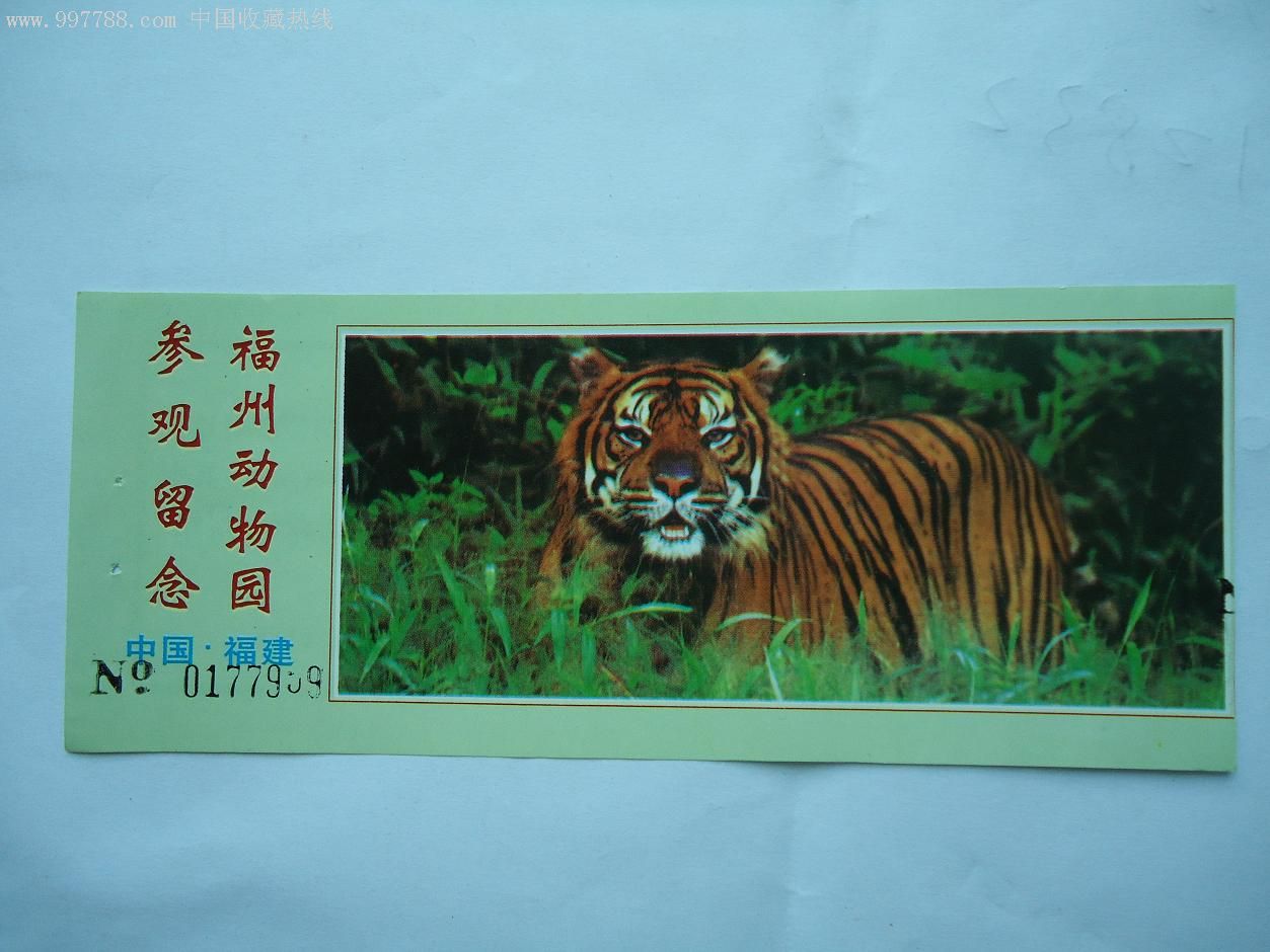 福州动物园,旅游景点门票,园林/公园,入口票,福建,年代不详,普通纸票