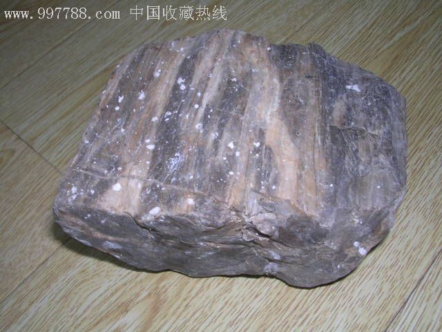 亿万年以前形成的木化石原石002