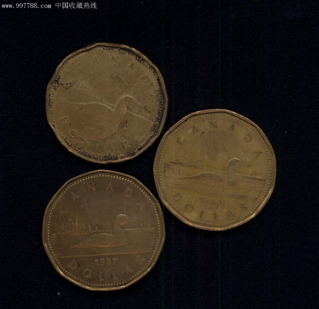 3个不同年份的一加元野鸭子图案硬币合售