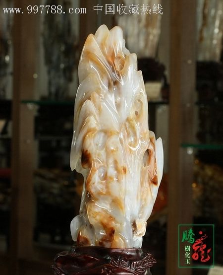 【腾龙阁】收藏级冰种树化玉精小摆件*精美玉石*