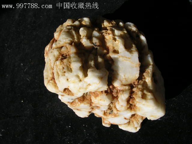少见的硅化木--白色木化石原石摆件