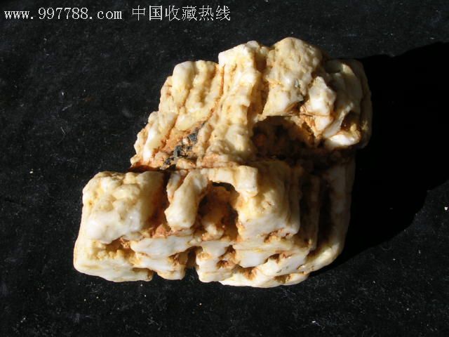 少见的硅化木--白色木化石原石摆件