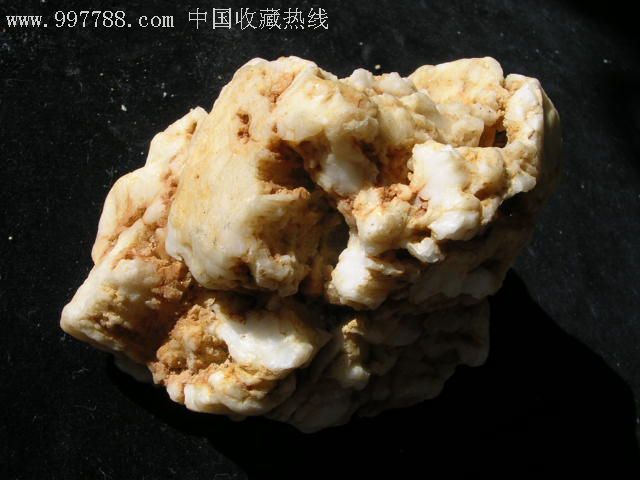 少见的硅化木--白色木化石原石摆件