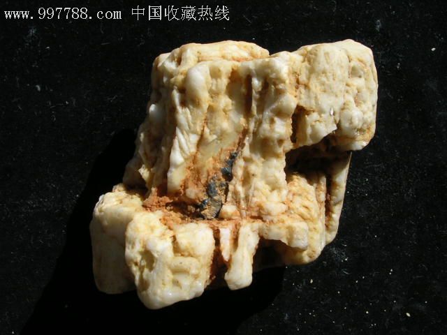 少见的硅化木--白色木化石原石摆件