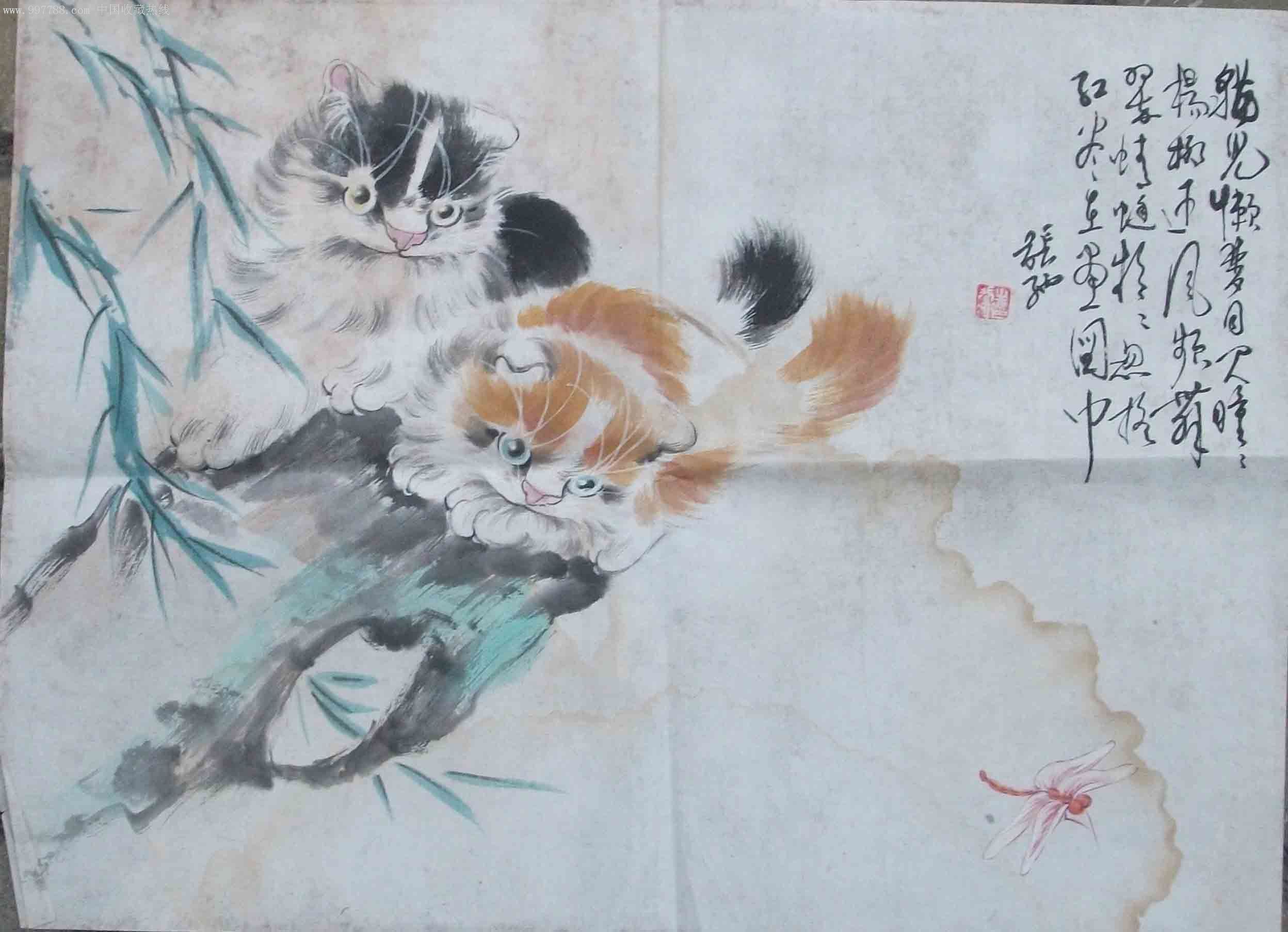 上海师范大学教授张驰画猫图_花鸟国画原作_第1张_7788字画网