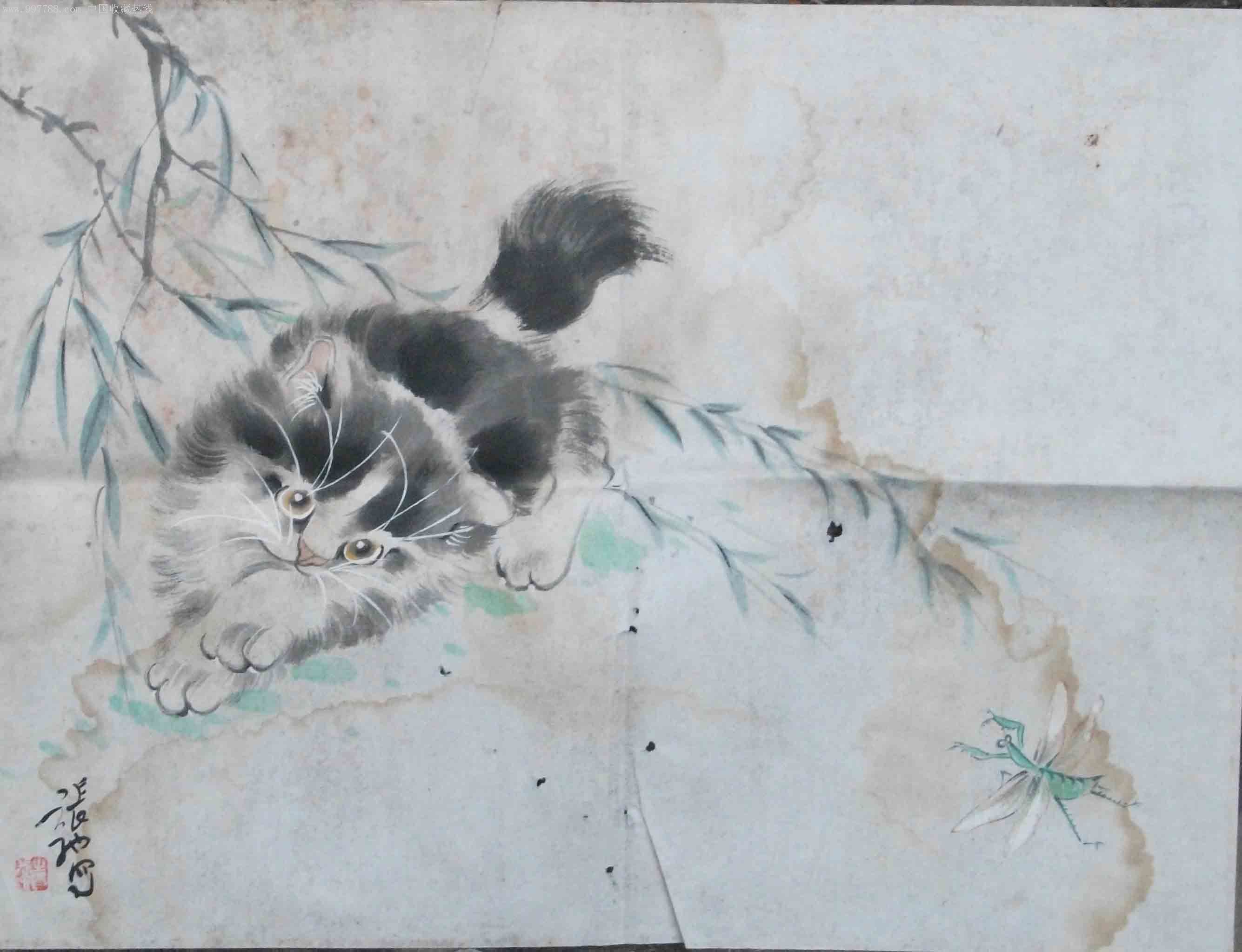 上海师范大学教授张驰画猫图-花鸟国画原作-7788字画网