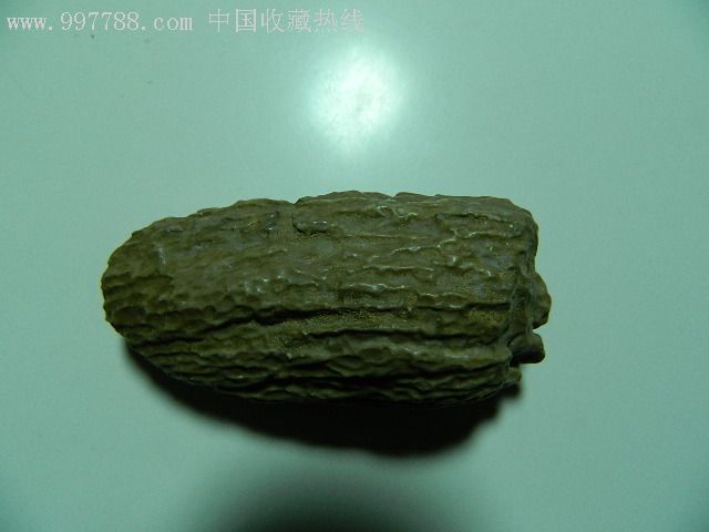 形如鹿茸的木化石