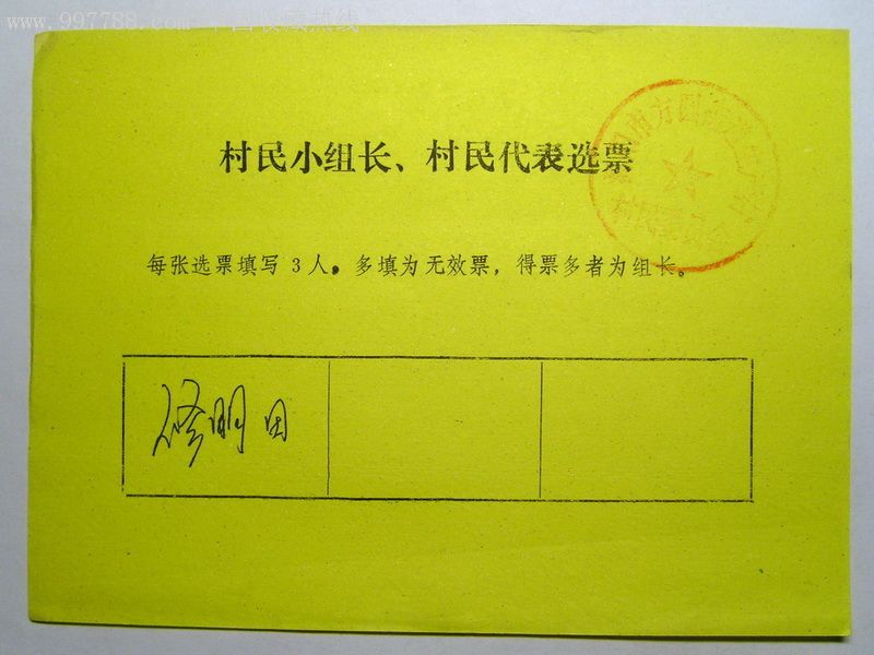 村民代表选票样式图片