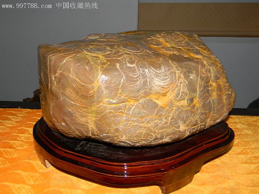 灵璧石皖螺金钱纹【金钱鼓】