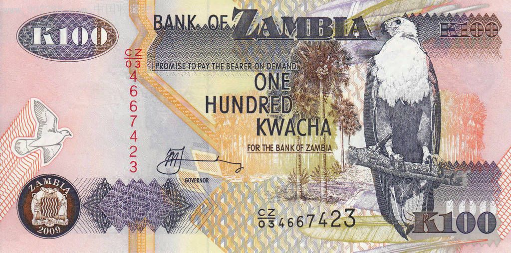 赞比亚100克瓦查