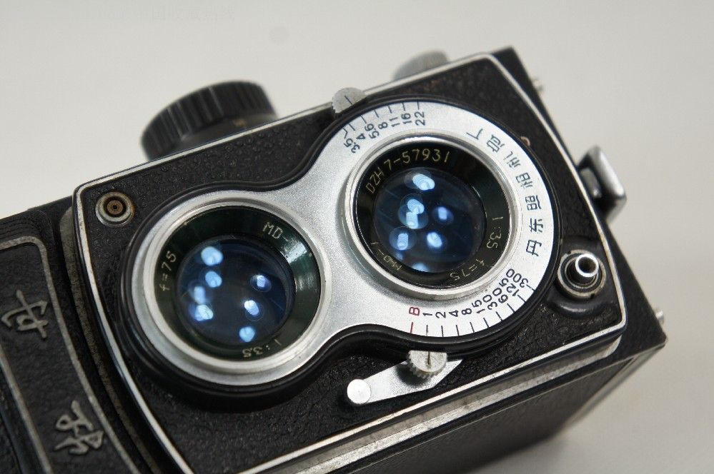 丹东产牡丹双反相机5958