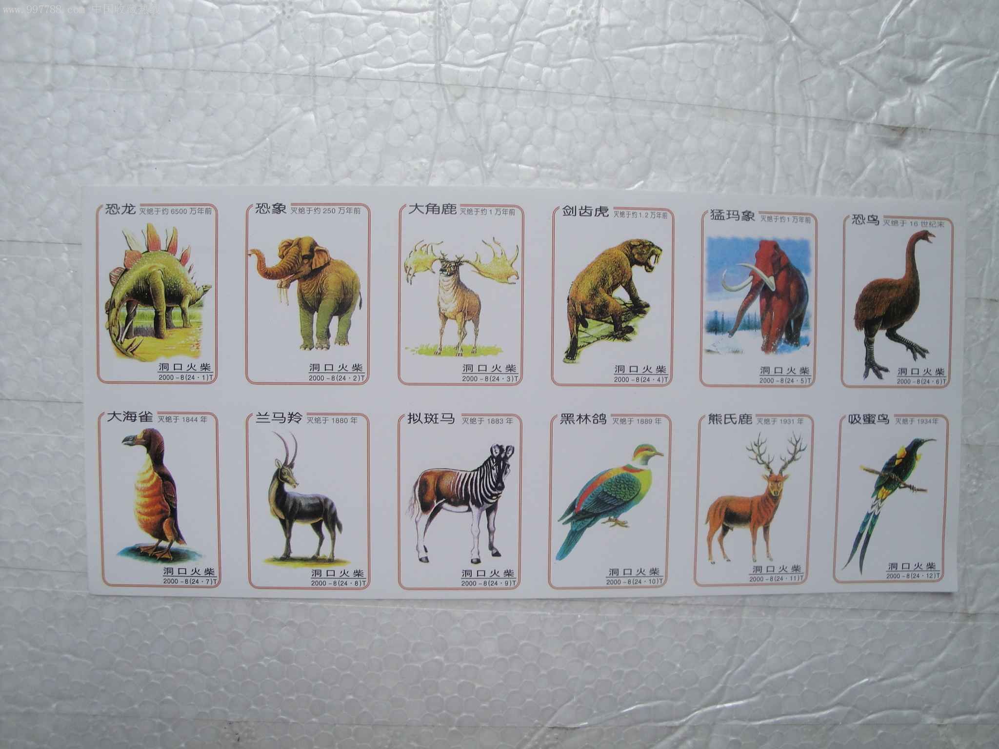 灭绝动物名字图片