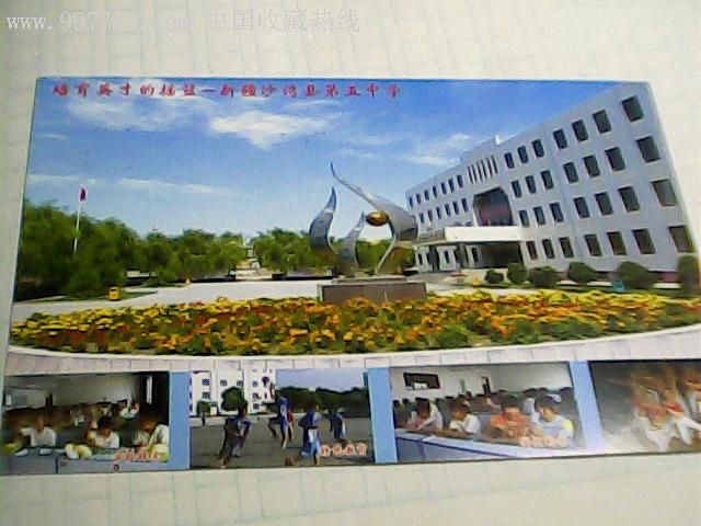 新疆沙湾县第五中学雪莲邮资明信片票样