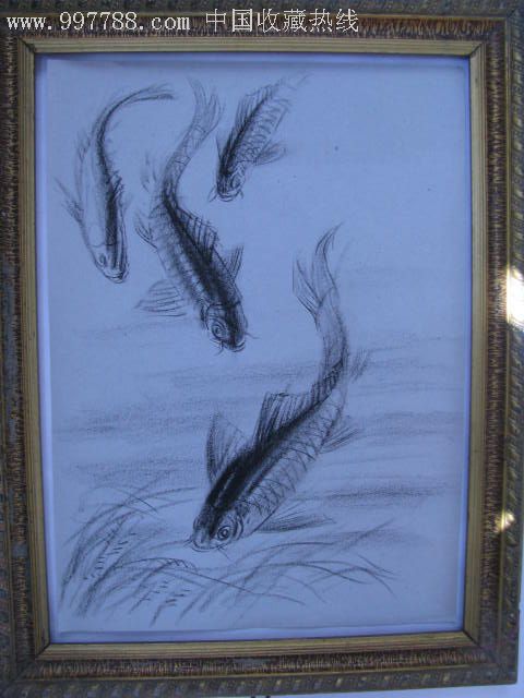 素描鱼乐图