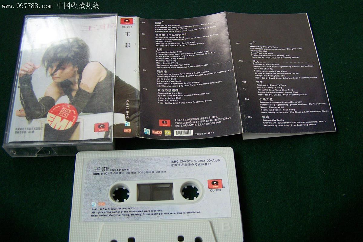 王菲——我也不想这样