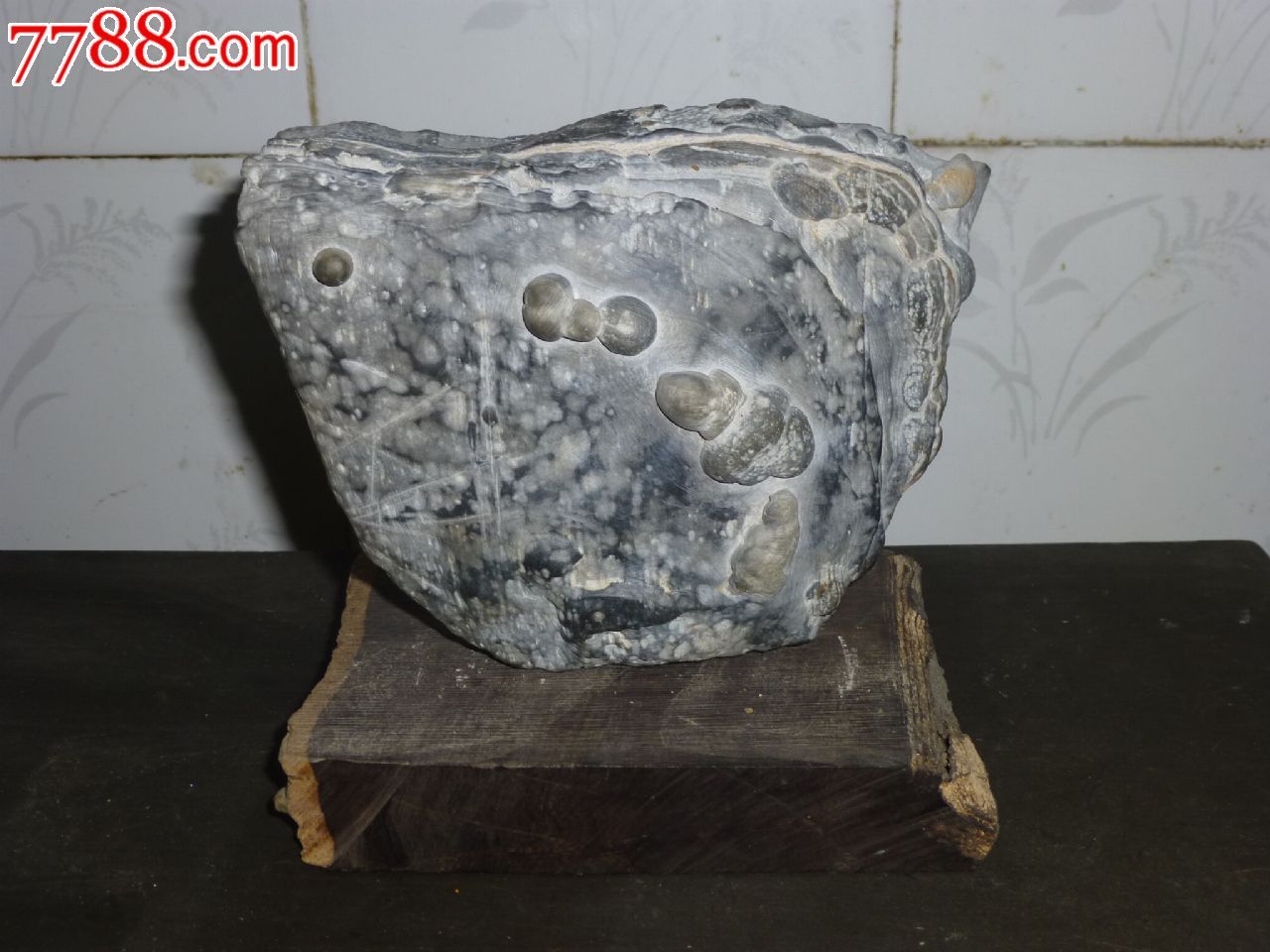 珍珠石==喜上眉梢_灵璧石_第1张_7788奇石