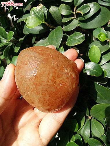 马达加斯加海洋玉髓玛瑙原石一块