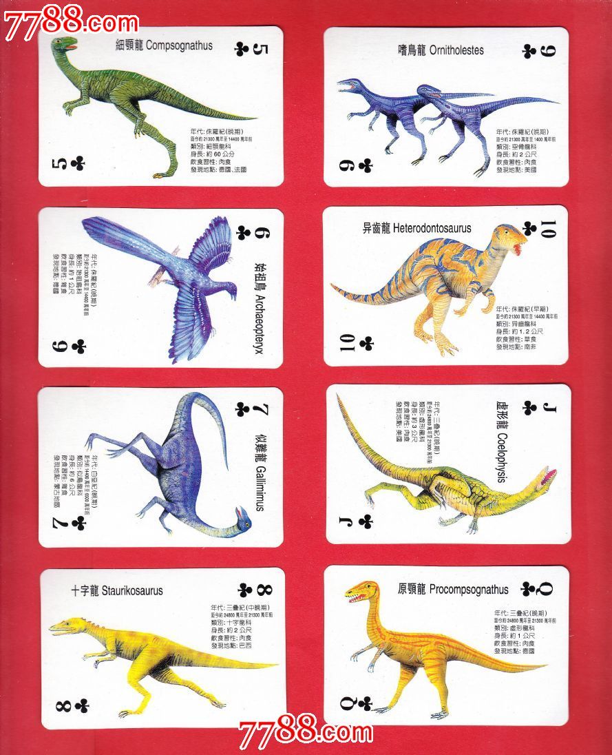大型食草恐龙 名字图片