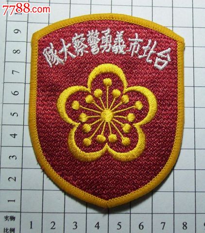 台湾台北市义勇警察大队臂章