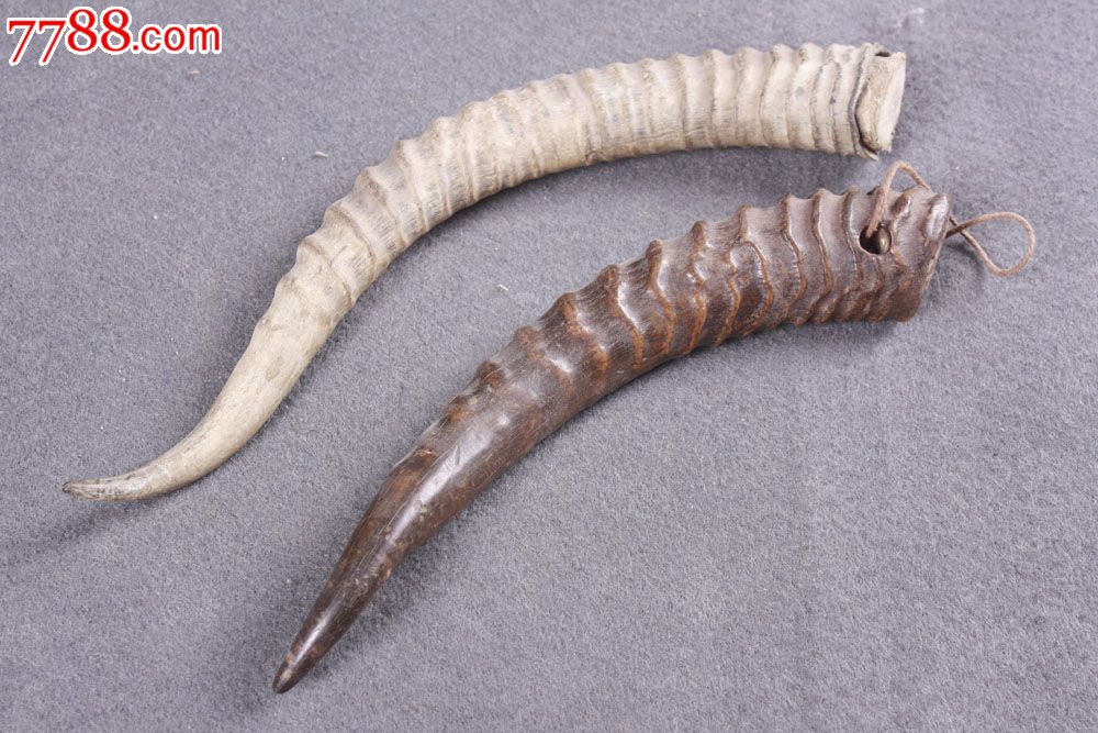 黄羊角一对