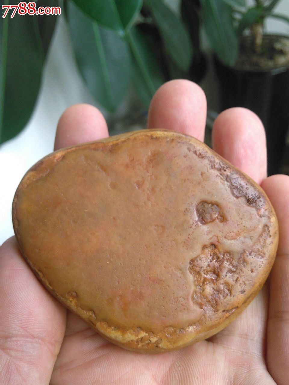 黄龙玉黄蜡石原石籽料,椭圆型动物图案手玩石,天然未打磨,黄龙玉,籽料