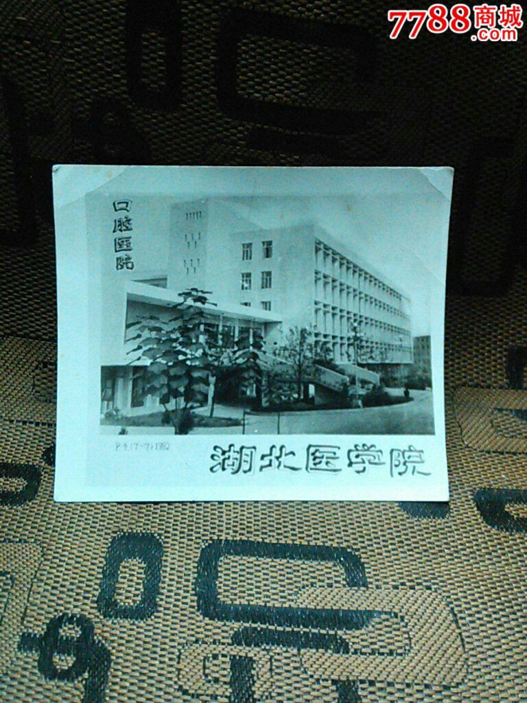 1982年/湖北医学院4张,老照片,老照片>贺年照片,景物贺年,五十年代