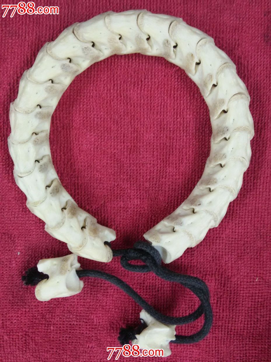 银环蛇骨制手链